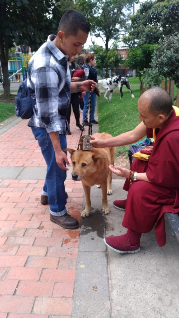 Un monje budista conversando con un visitante y un perro.