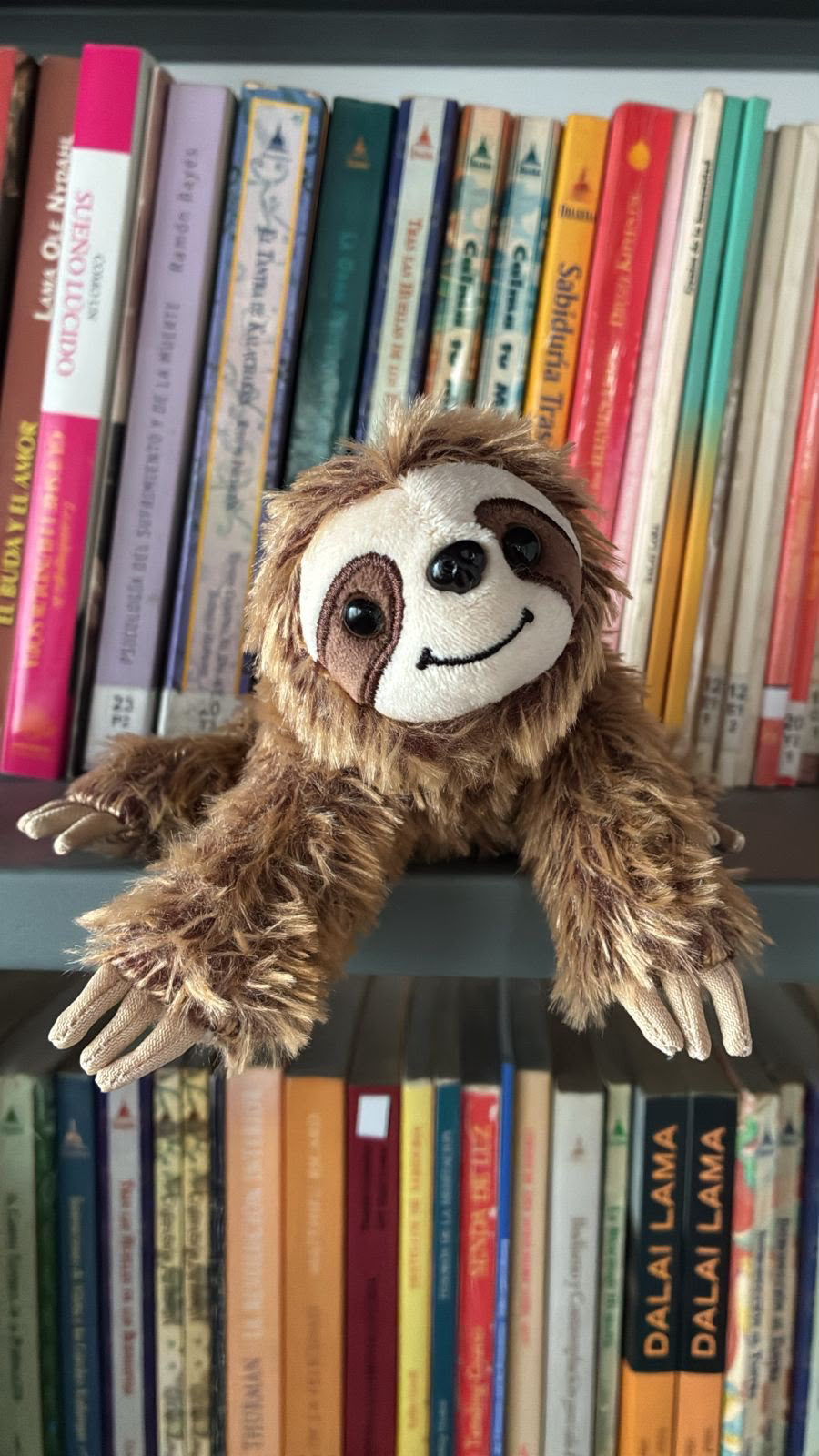 Estantería de la biblioteca del Centro Yamantaka, con un peluche de perezoso entre los libros.