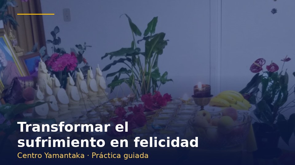 Miniatura: Transformar el sufrimiento en felicidad